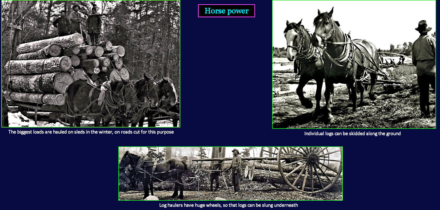 Hauling Wood, by horse, 1910
